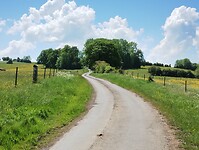 IMG_20250513_134715511