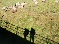 IMG_20250513_091458891