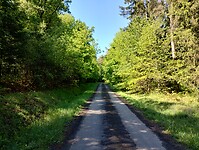 IMG_20250513_110237937_HDR