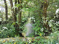 IMG_20250513_110108476