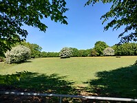 IMG_20250513_105959559_HDR