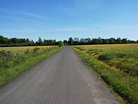 IMG_20250513_095002478