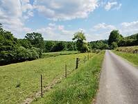 IMG_20250514_151433651
