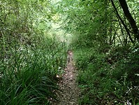 IMG_20250514_150058734_HDR