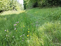 IMG_20250514_143845688