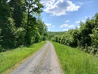 IMG_20250514_143422701_HDR