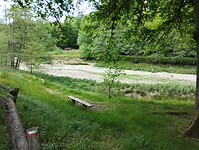 IMG_20250514_140630327