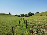 IMG_20250514_101847034