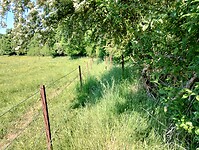 IMG_20250514_101226764_HDR