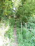 IMG_20250514_101003659