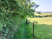 IMG_20250514_100604130_HDR