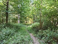 IMG_20250514_095159189