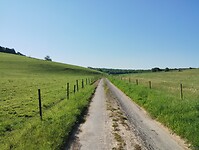IMG_20250514_093051806