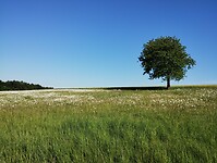 IMG_20250514_091507668