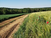 IMG_20250514_091307743