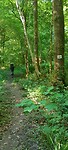 IMG-20250514-WA0013
