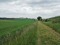 IMG_20250515_144452356