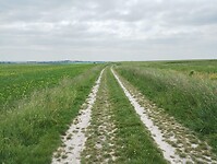 IMG_20250515_141302559