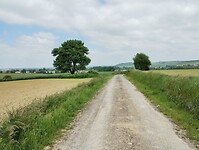 IMG_20250515_132355954
