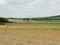 IMG_20250515_132348815