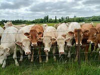 IMG_20250515_112834226_HDR