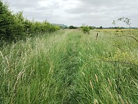 IMG_20250515_112143775