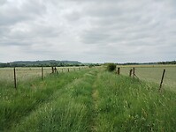 IMG_20250515_111750300