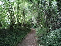 IMG_20250515_100421536