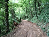 IMG_20250515_092609931