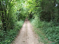IMG_20250515_101216029