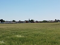 IMG_20250516_161245675