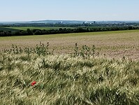 IMG_20250516_133105943