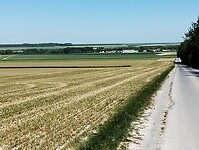 IMG_20250516_132009064