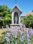 IMG_20250516_121717418