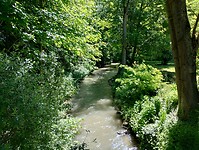 IMG_20250516_121220448_HDR