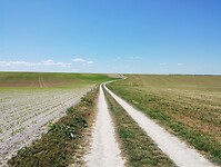 IMG_20250516_115554809