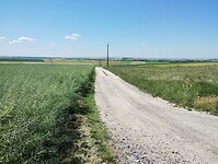 IMG_20250516_114120830