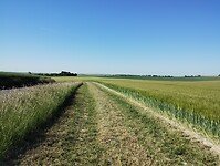 IMG_20250516_100108718