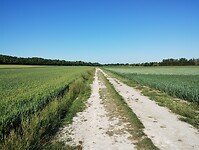 IMG_20250516_091751326