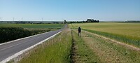IMG-20250516-WA0009