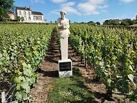 IMG_20250518_171028863