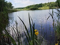 IMG_20250518_154658123