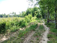 IMG_20250518_153738419