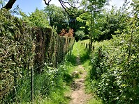 IMG_20250518_142606500_HDR