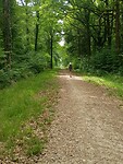 IMG-20250518-WA0009