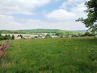 IMG_20250518_141536909