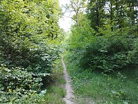IMG_20250518_141603048