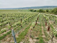 IMG_20250518_114859172