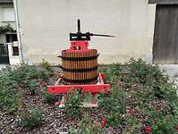 IMG_20250518_113300782
