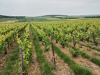 IMG_20250518_111747588